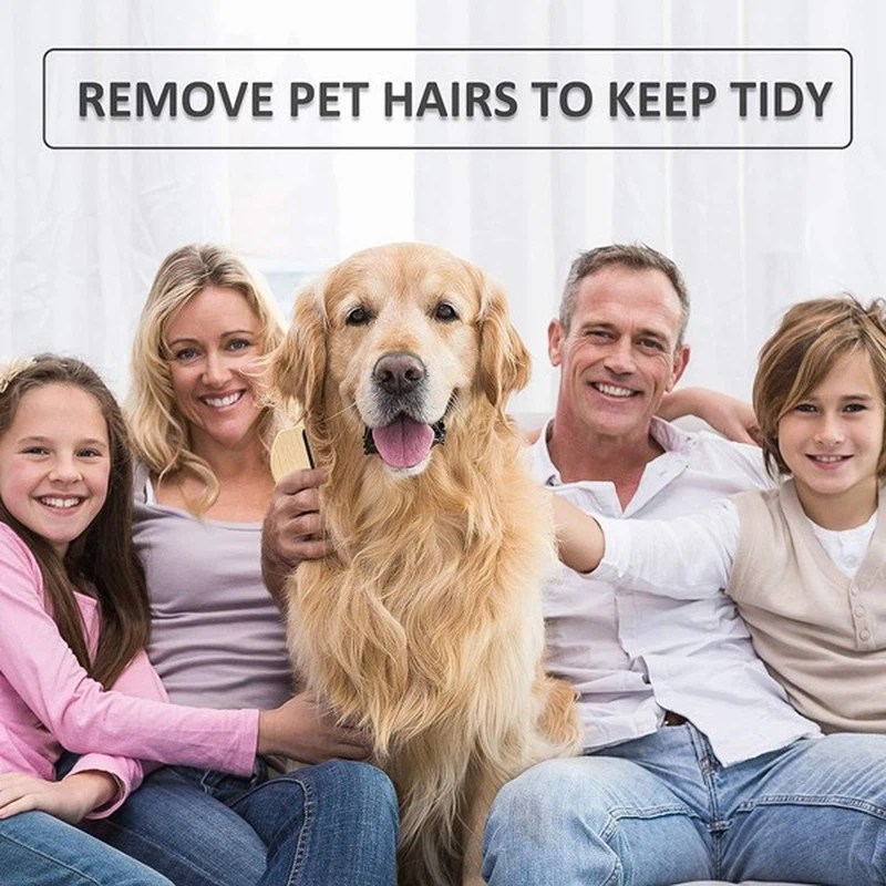 remove pet hair remove pet hair